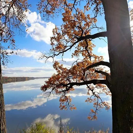 Apartman U Simku Třeboň Buitenkant foto